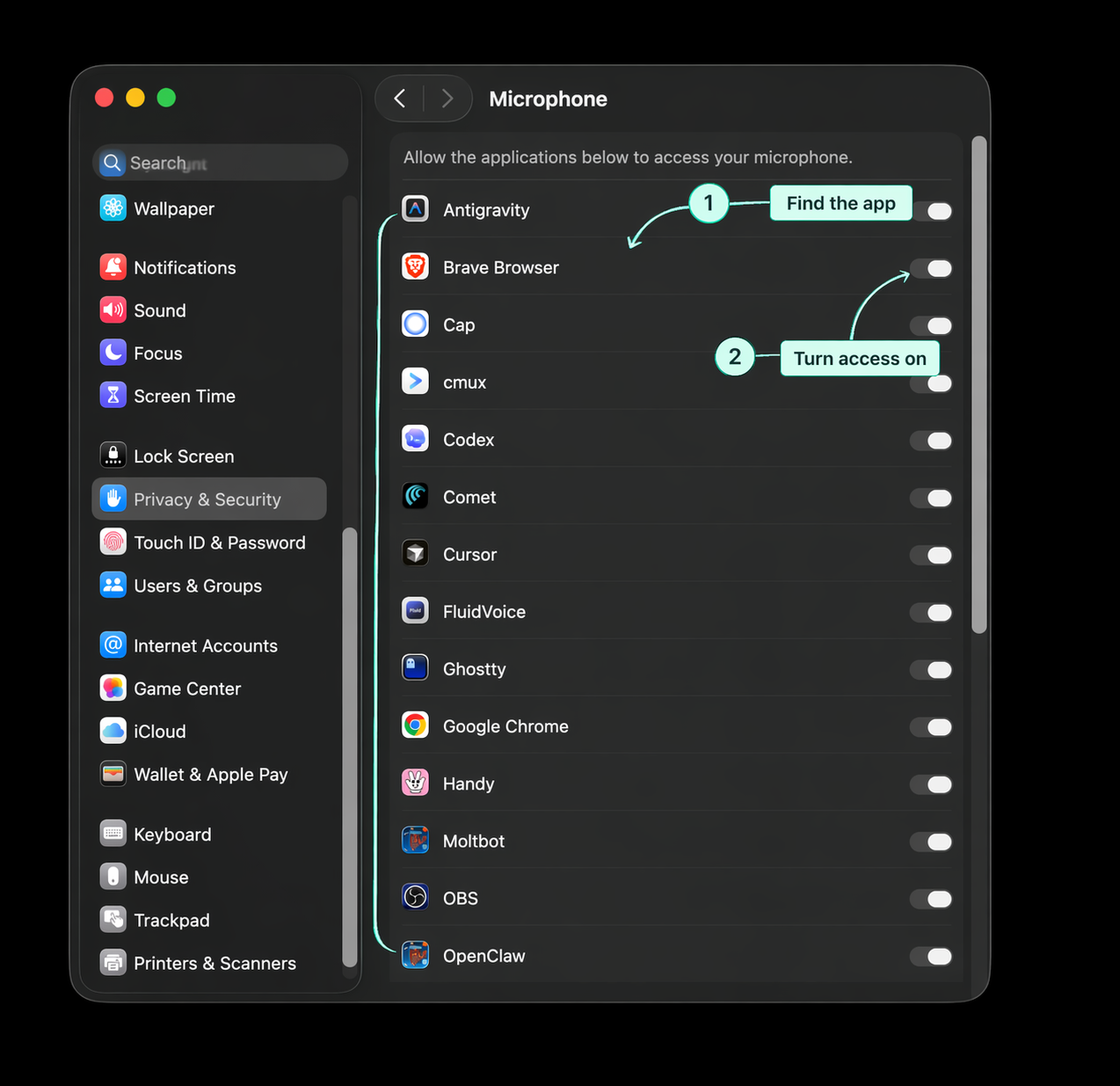 Mac Microphone privacy settings showing where to turn on app access
