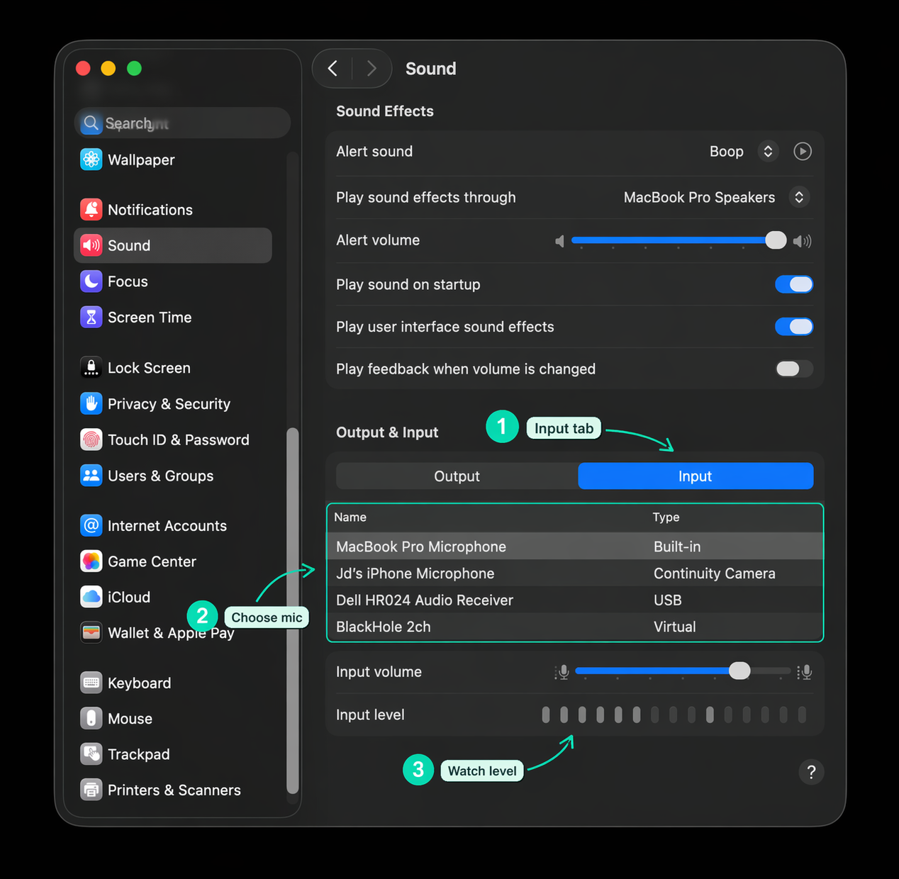 Mac Sound Input settings showing where to choose a microphone and check the input level