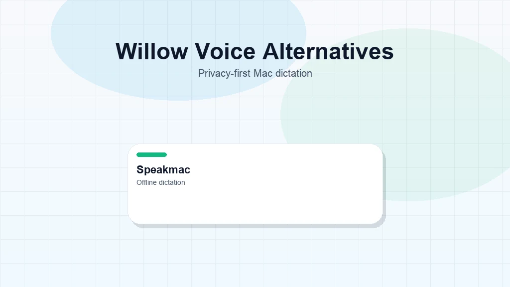 Willow Voice alternatives for Mac dictation