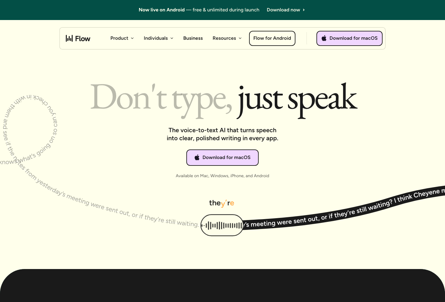 Wispr Flow homepage hero
